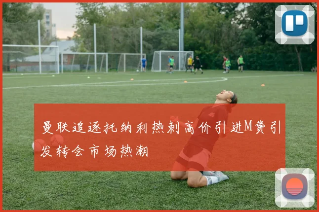 曼联追逐托纳利热刺高价引进M费引发转会市场热潮