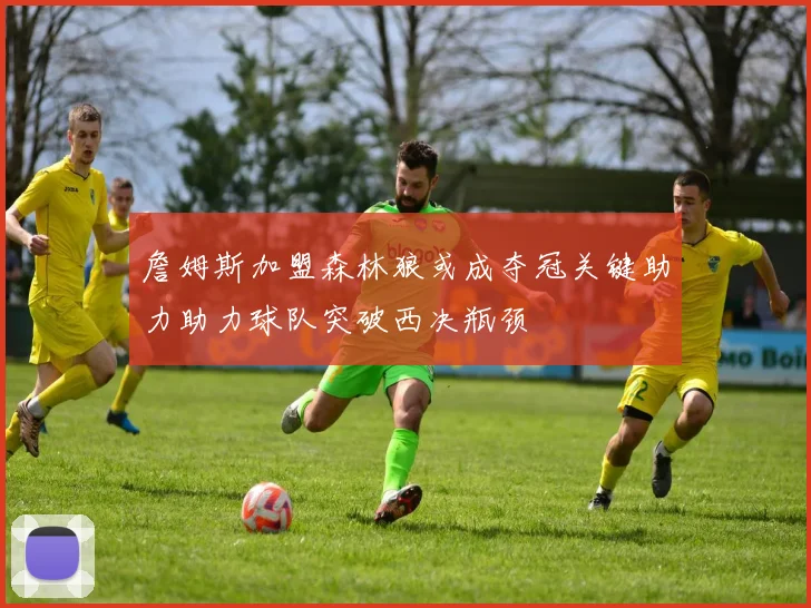 詹姆斯加盟森林狼或成夺冠关键助力助力球队突破西决瓶颈