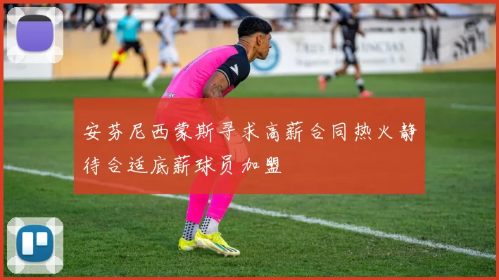 安芬尼西蒙斯寻求高薪合同热火静待合适底薪球员加盟