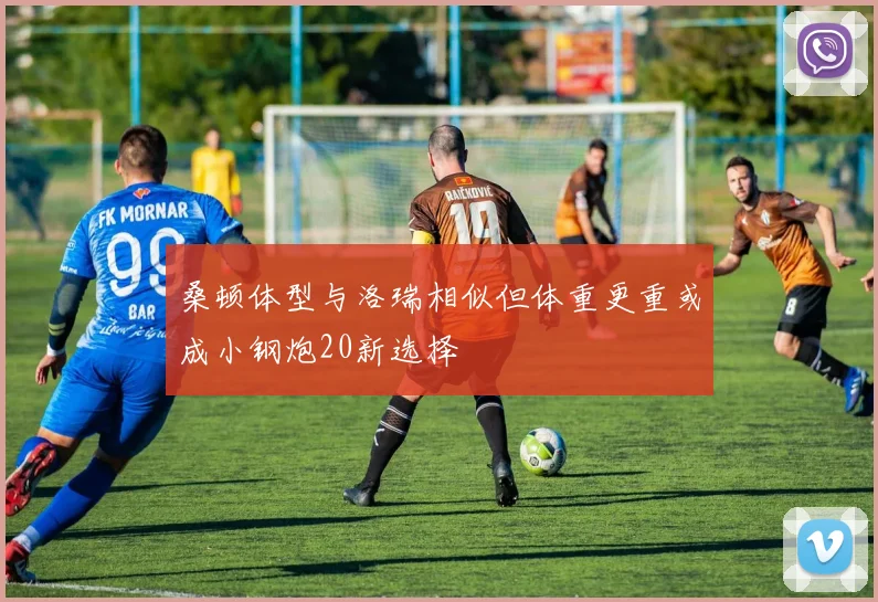 桑顿体型与洛瑞相似但体重更重或成小钢炮20新选择
